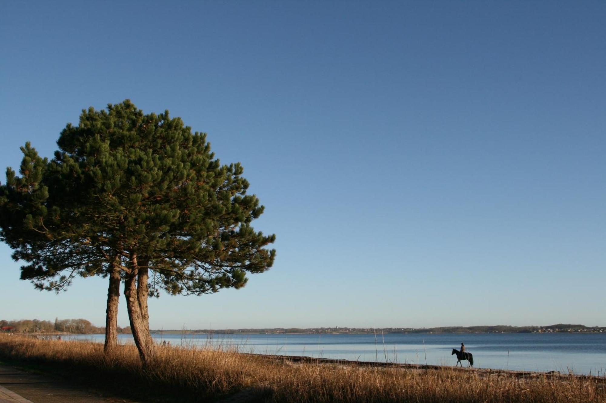 Ostsee-Strandhaus-Holnis Glücksburg Extérieur photo